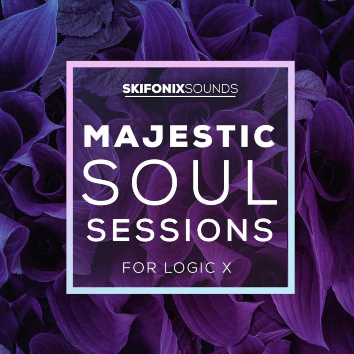 Skifonix Sounds - Majestic Soul Sessions Sample Packs Software GUI Artwork